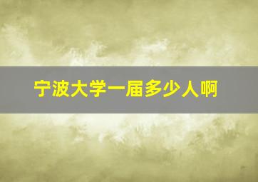 宁波大学一届多少人啊