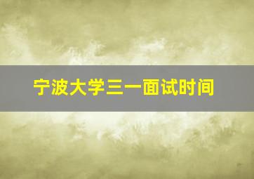 宁波大学三一面试时间