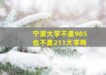 宁波大学不是985也不是211大学吗