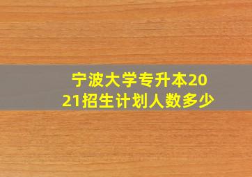 宁波大学专升本2021招生计划人数多少