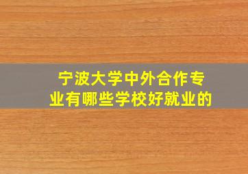 宁波大学中外合作专业有哪些学校好就业的