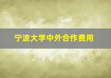 宁波大学中外合作费用