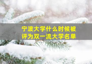 宁波大学什么时候被评为双一流大学名单