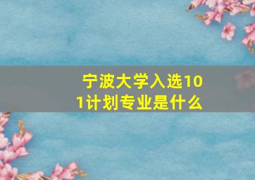 宁波大学入选101计划专业是什么