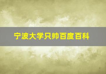 宁波大学只帅百度百科