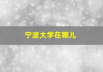 宁波大学在哪儿