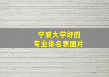 宁波大学好的专业排名表图片