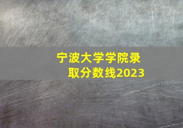 宁波大学学院录取分数线2023