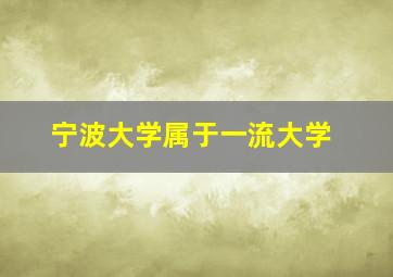 宁波大学属于一流大学