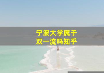 宁波大学属于双一流吗知乎