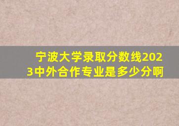 宁波大学录取分数线2023中外合作专业是多少分啊
