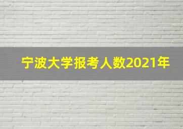 宁波大学报考人数2021年