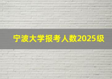 宁波大学报考人数2025级