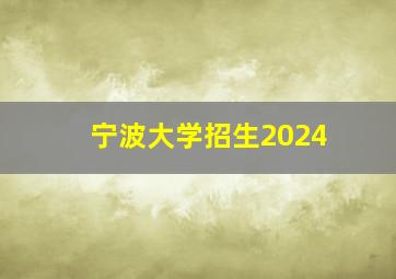 宁波大学招生2024