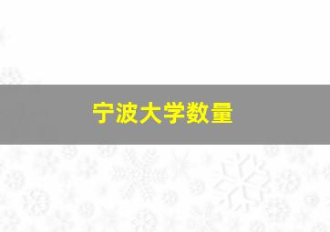 宁波大学数量