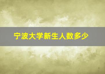 宁波大学新生人数多少