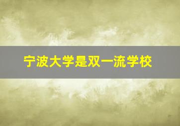 宁波大学是双一流学校