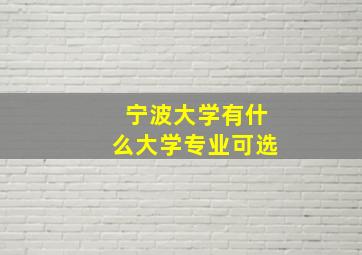 宁波大学有什么大学专业可选