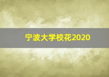 宁波大学校花2020