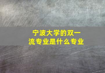 宁波大学的双一流专业是什么专业