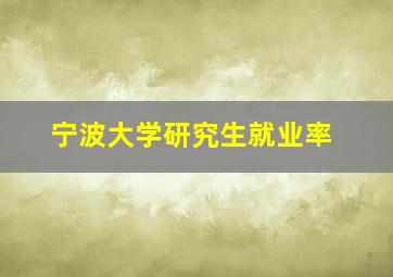 宁波大学研究生就业率