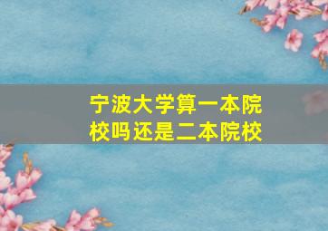 宁波大学算一本院校吗还是二本院校