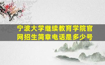 宁波大学继续教育学院官网招生简章电话是多少号