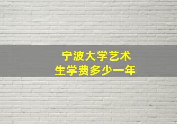 宁波大学艺术生学费多少一年