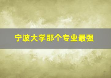 宁波大学那个专业最强