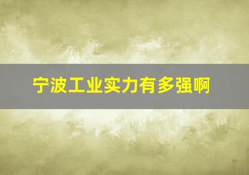 宁波工业实力有多强啊