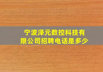 宁波泽元数控科技有限公司招聘电话是多少