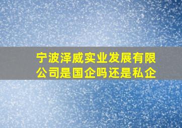 宁波泽威实业发展有限公司是国企吗还是私企