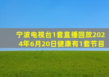 宁波电视台1套直播回放2024年6月20日健康有1套节目