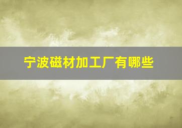 宁波磁材加工厂有哪些