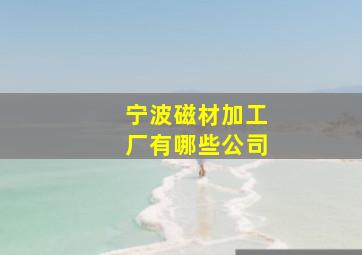 宁波磁材加工厂有哪些公司