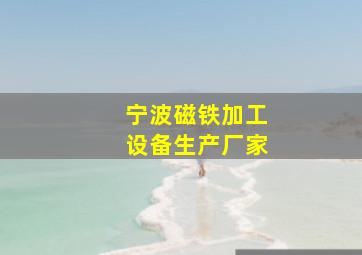 宁波磁铁加工设备生产厂家