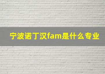 宁波诺丁汉fam是什么专业