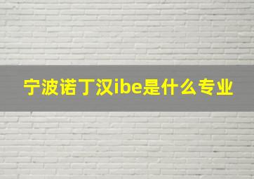 宁波诺丁汉ibe是什么专业