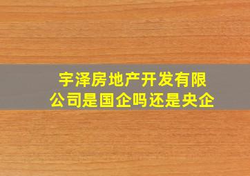 宇泽房地产开发有限公司是国企吗还是央企