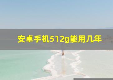 安卓手机512g能用几年