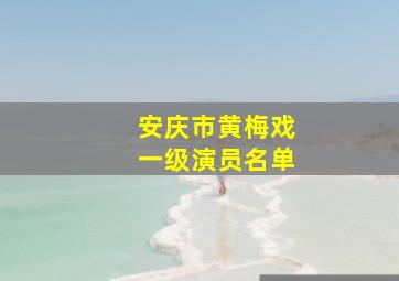 安庆市黄梅戏一级演员名单