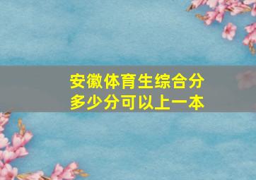 安徽体育生综合分多少分可以上一本