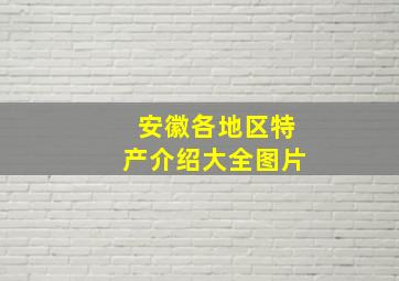 安徽各地区特产介绍大全图片