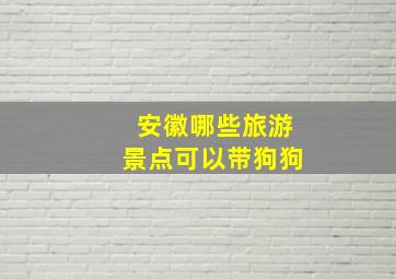 安徽哪些旅游景点可以带狗狗