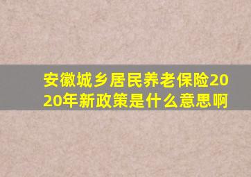 安徽城乡居民养老保险2020年新政策是什么意思啊