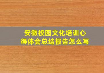 安徽校园文化培训心得体会总结报告怎么写