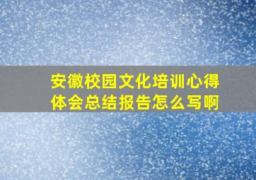 安徽校园文化培训心得体会总结报告怎么写啊