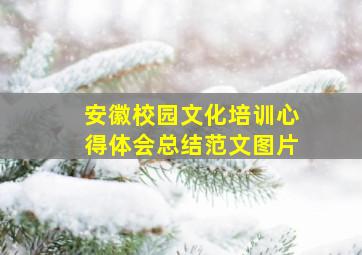 安徽校园文化培训心得体会总结范文图片