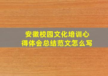 安徽校园文化培训心得体会总结范文怎么写