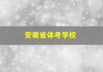 安徽省体考学校